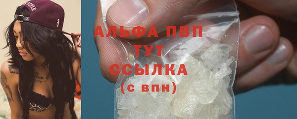 крисы Аркадак