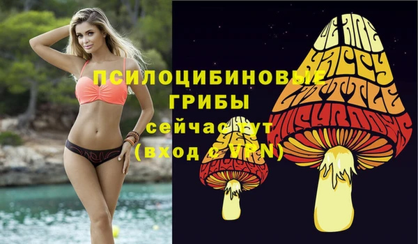 крисы Аркадак