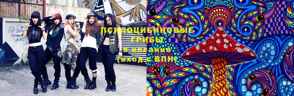 крисы Аркадак