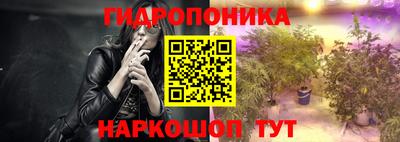 a pvp Аргун