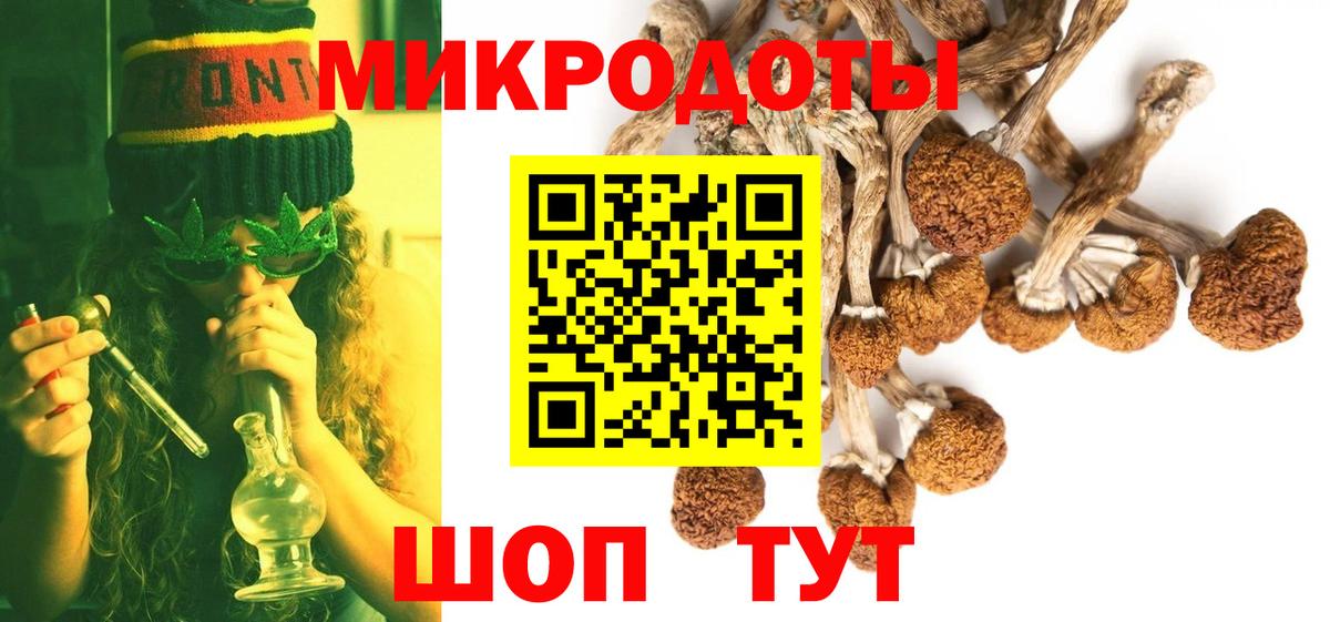 Псилоцибиновые грибы Psilocybe  Апрелевка 